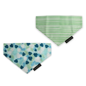 Ancol Patterned Bandana 2 Piece Set
