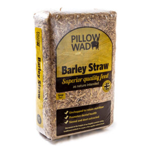 Pillow Wad Feed Barley Straw 2kg