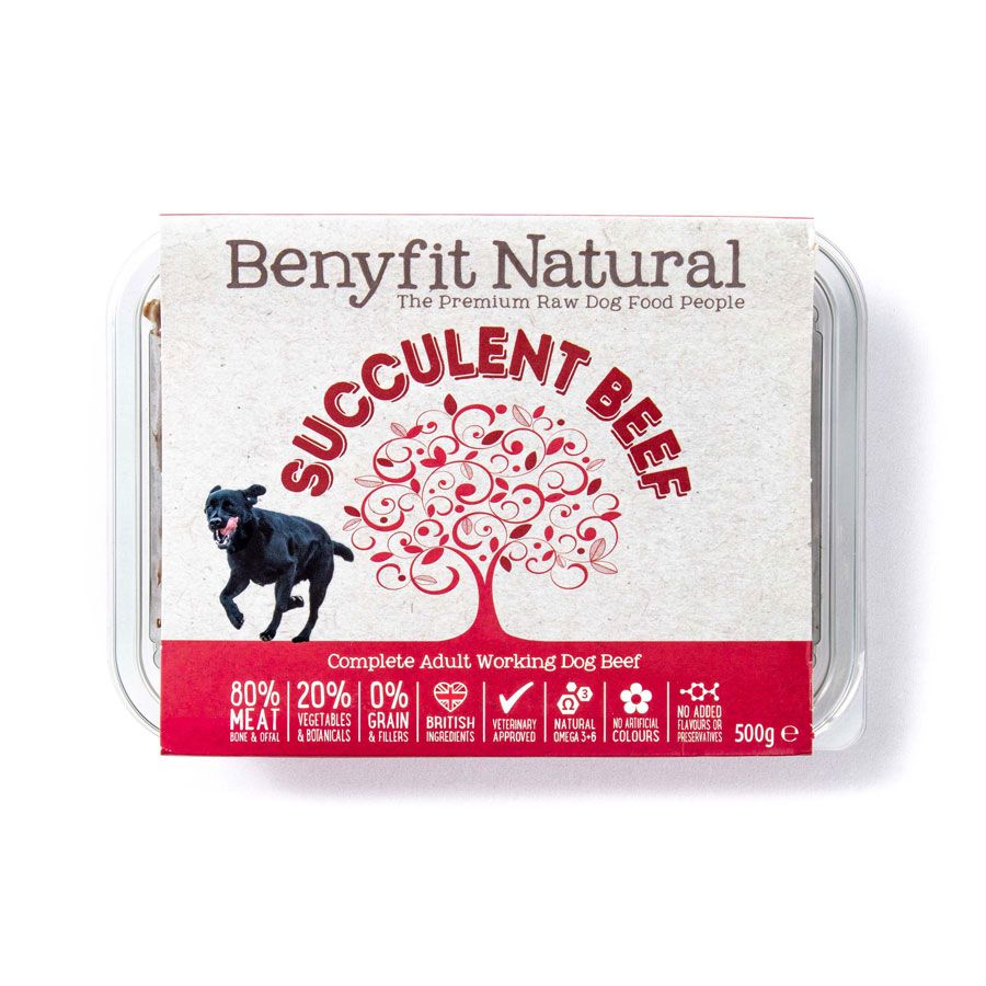 Benyfit Natural Complete Frozen Raw Dog Food Adult Succulent Beef
