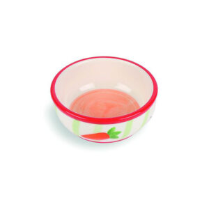 Happy Pet Carrot Stripe Pet Bowl