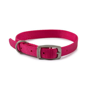 Viva Nylon Collar