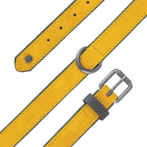 Sotnos Aquatech Brights Collar