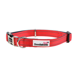 Doodlebone Padded Collar