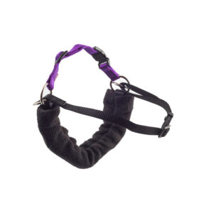 Ancol Happy At Heels Harness & Lead Set
