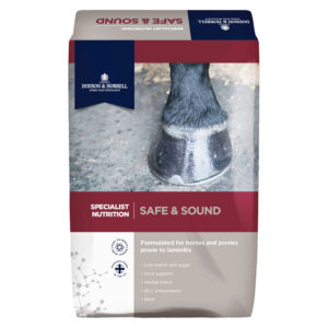 Dodson & Horrell Safe & Sound 18kg