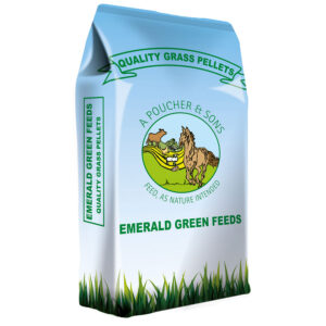 Emerald Green Grass Nuts 20kg