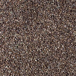 Johnston & Jeff Hemp Seed