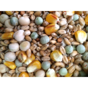 Johnston & Jeff Four Seasons Pigeon Corn 20kg