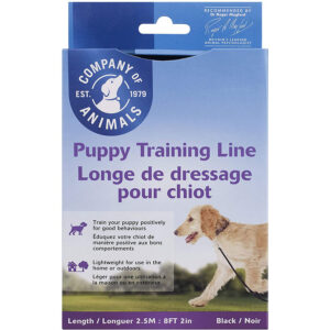 Coachi Puppy Training Line 2.5m