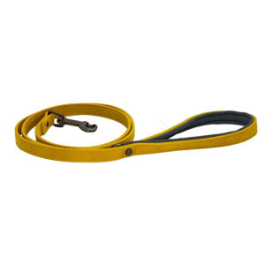 Sotnos Aquatech Brights Lead