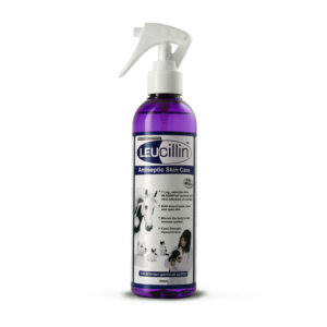 Leucillin Antiseptic Spray 250 ml