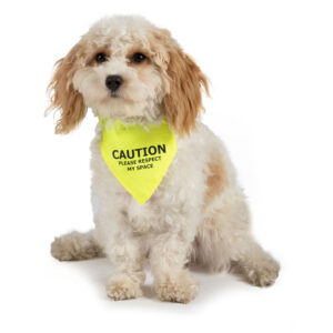 Ancol Caution Warning Bandana