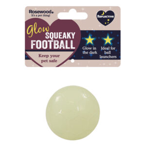Rosewood Glow in the Dark Dog Toy