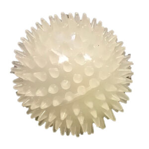 Dog Life Glow Ball And Squeaker Dog Toy 2.5"