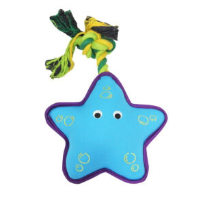 Pawise Floating Star Dog Toy