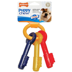 Nylabone Dog Toy Puppy Teething Key Set