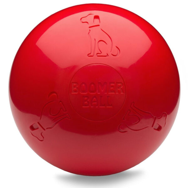 Company of Animals Boomer Boredom Ball for Dogs
